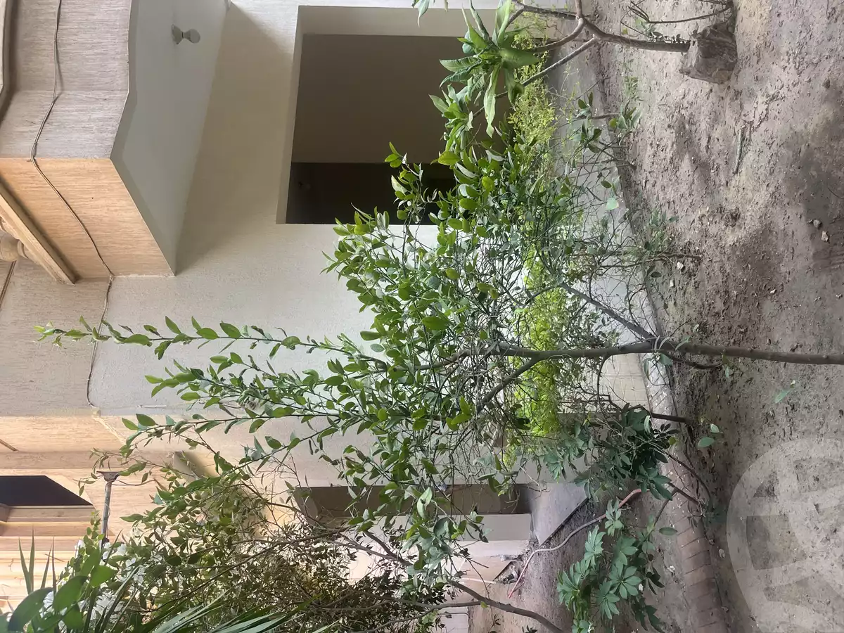 https://aqarmap.com.eg/ar/listing/6140045-for-sale-cairo-new-cairo-el-diplomaseen