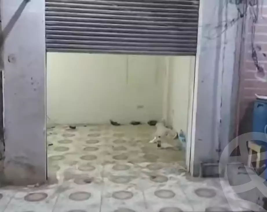 https://aqarmap.com.eg/ar/listing/6256741-for-rent-qalyubia-shubra-el-khaima-shubra-el-khaima-city-teraat-el-shabouri-st
