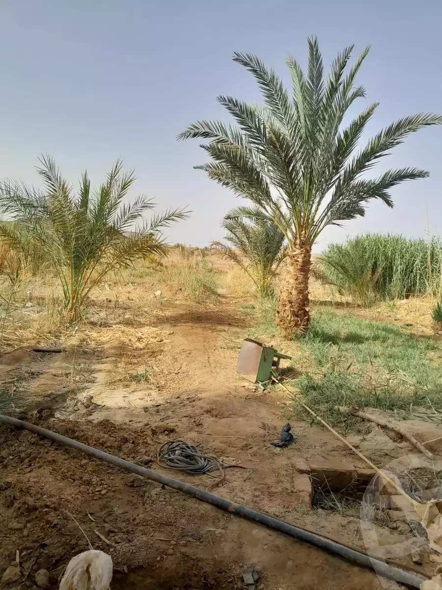 https://aqarmap.com.eg/en/listing/6257047-for-sale-cairo-ljyz-bahariya-oasis-mandishah-village