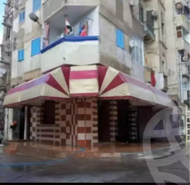 https://aqarmap.com.eg/en/listing/6258206-for-rent-alexandria-rs-ltyn