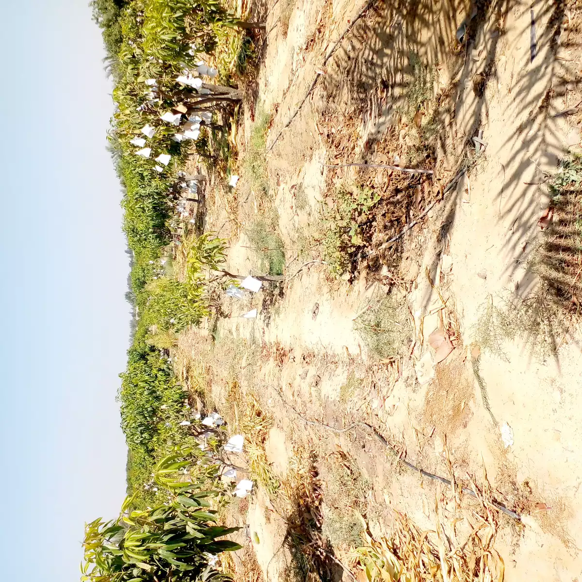 https://aqarmap.com.eg/en/listing/6259572-for-sale-beheira-wadi-el-natrun-bany-salama