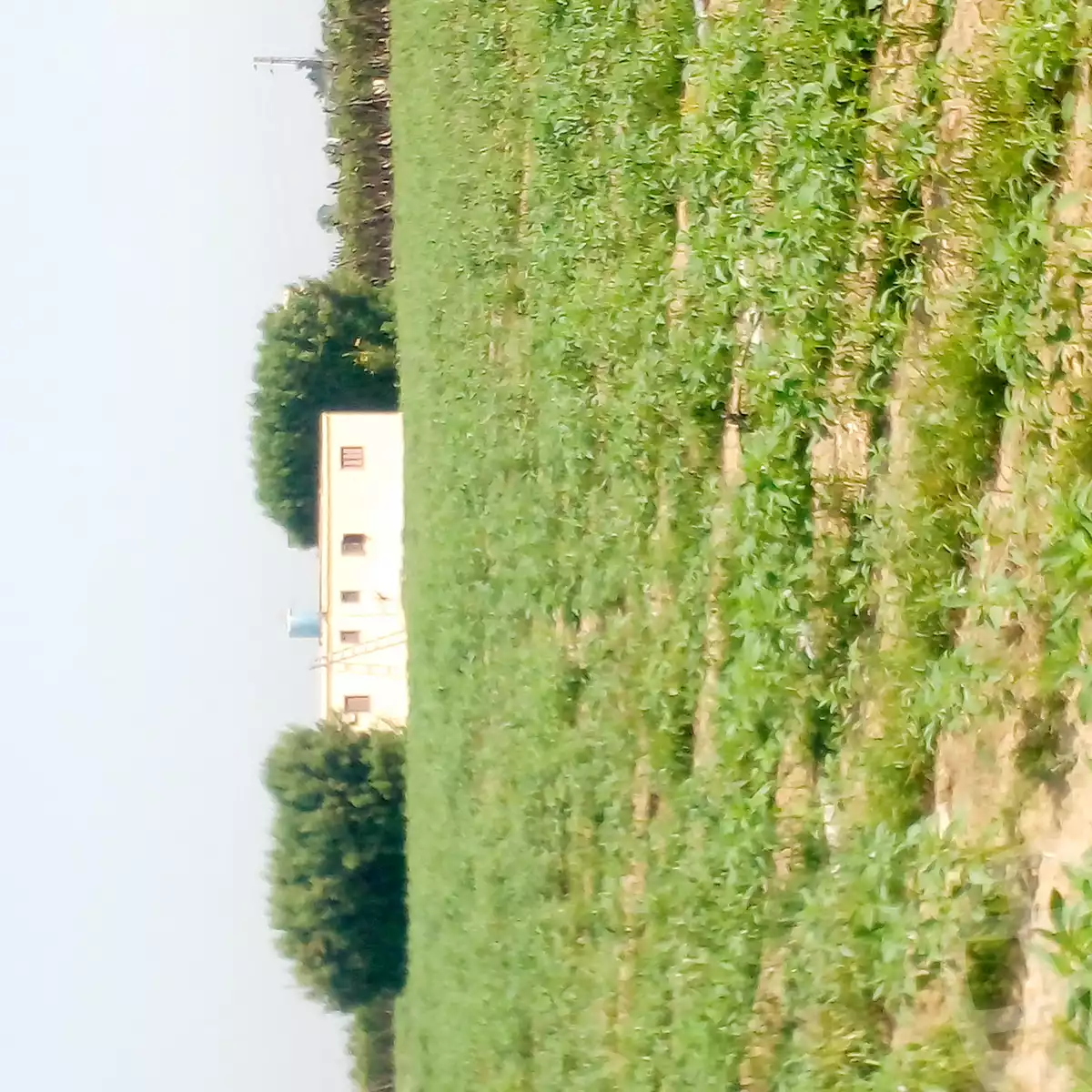 https://aqarmap.com.eg/ar/listing/6259613-for-sale-beheira-badr-abd-el-hamed-abo-zaed