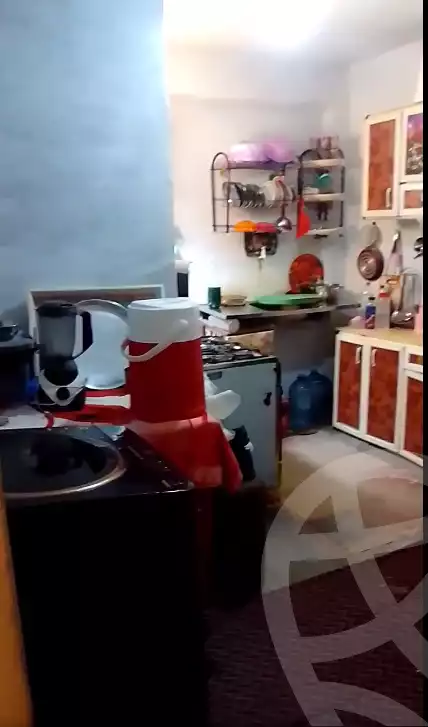 https://aqarmap.com.eg/en/listing/6261578-for-sale-alexandria-bys