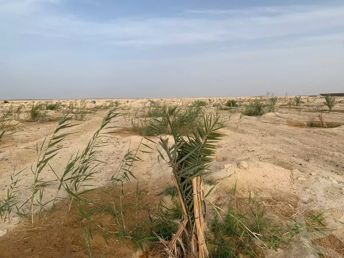 https://aqarmap.com.eg/ar/listing/6265926-for-sale-new-valley-farafra