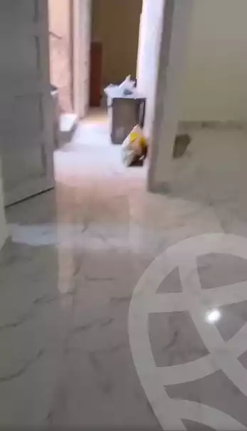 https://aqarmap.com.eg/en/listing/6271345-for-sale-qalyubia-el-khsos-izbat-el-nakhl-el-farid-st