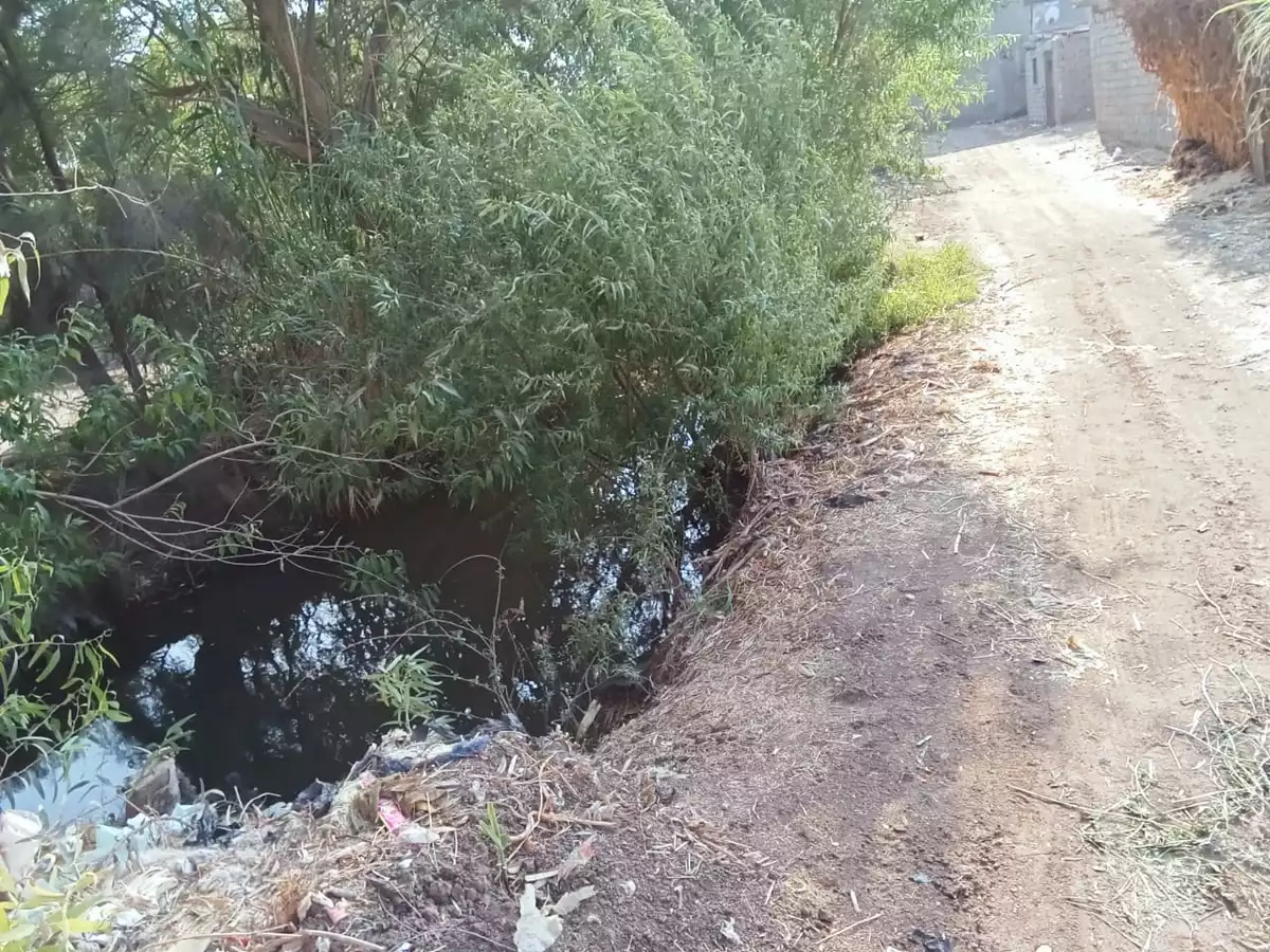 https://aqarmap.com.eg/en/listing/6265835-for-sale-qalyubia-banha-city-magol