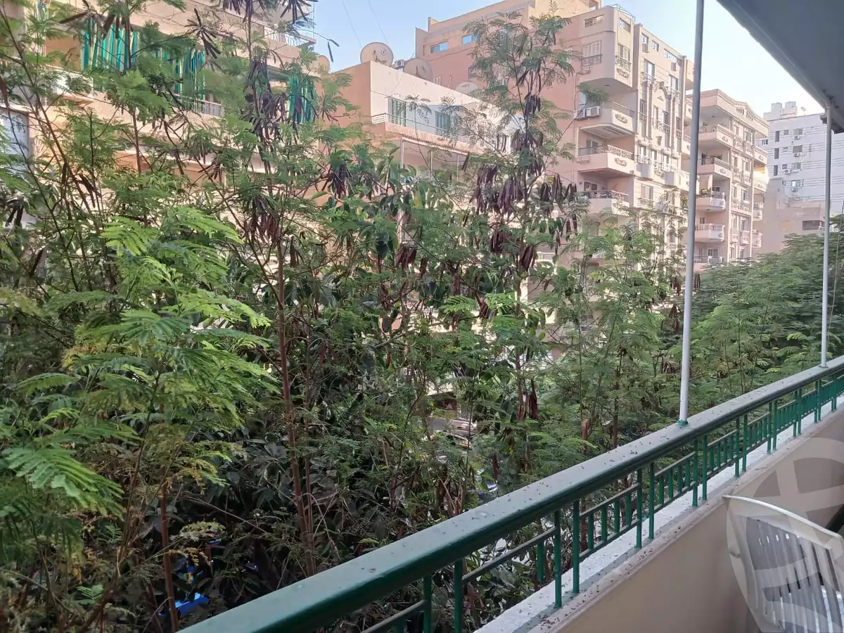 https://aqarmap.com.eg/ar/listing/6274573-for-rent-cairo-nasr-city-6th-zone-samir-moursy-st