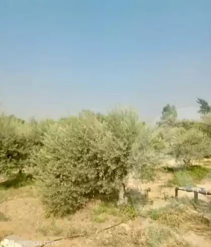 https://aqarmap.com.eg/ar/listing/6276576-for-sale-beheira-wadi-el-natrun