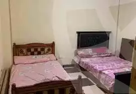 https://aqarmap.com.eg/en/listing/6279474-for-rent-dakahlia-mansoura