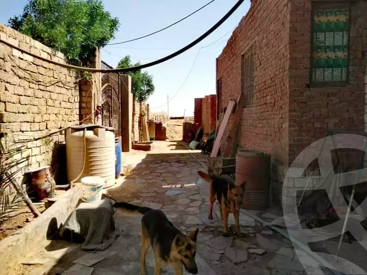 https://aqarmap.com.eg/ar/listing/6281081-for-sale-cairo-ljyz-el-saf-ghammaza-el-kobra-village