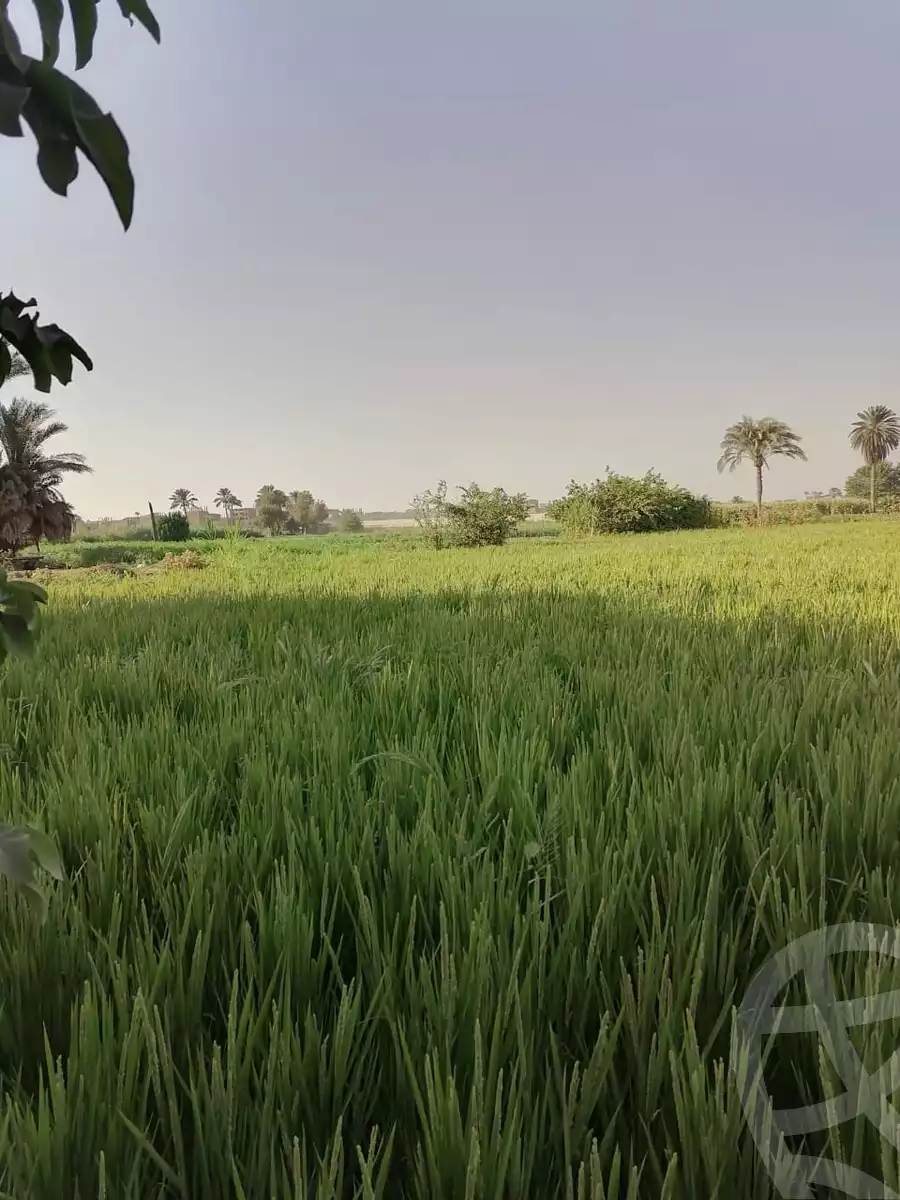 https://aqarmap.com.eg/ar/listing/6281522-for-sale-cairo-el-marg-lmrj-ljdyd-el-gazira-st