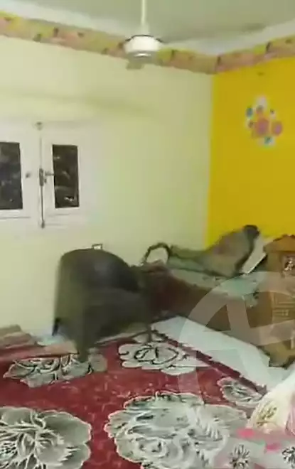 https://aqarmap.com.eg/ar/listing/6285075-for-sale-qalyubia-shubra-el-khaima-el-shareaa-el-gadid-st