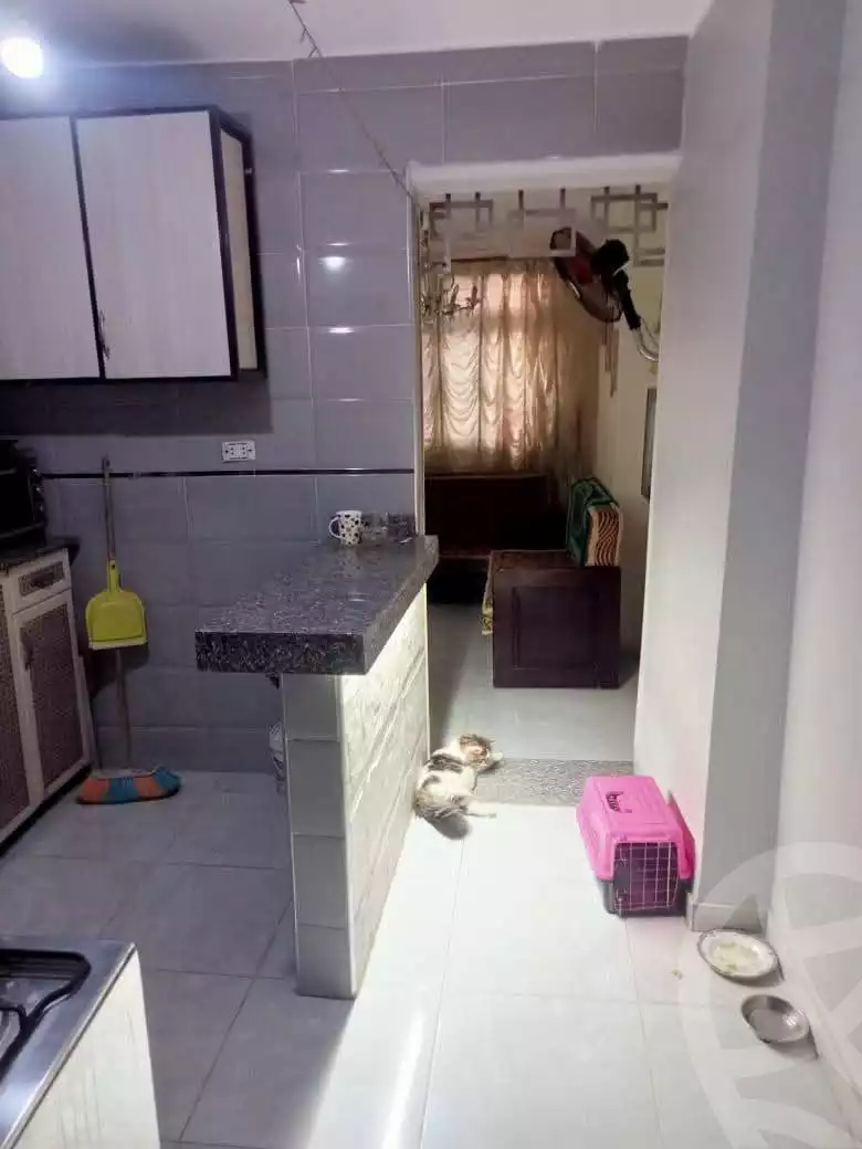 https://aqarmap.com.eg/en/listing/6287797-for-sale-cairo-ain-shams-alf-maskn