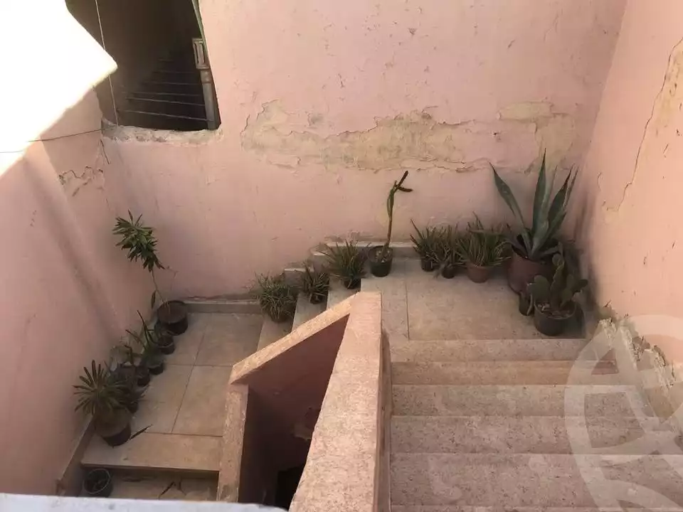 https://aqarmap.com.eg/en/listing/6295353-for-rent-cairo-el-haram-shareaa-el-talateny