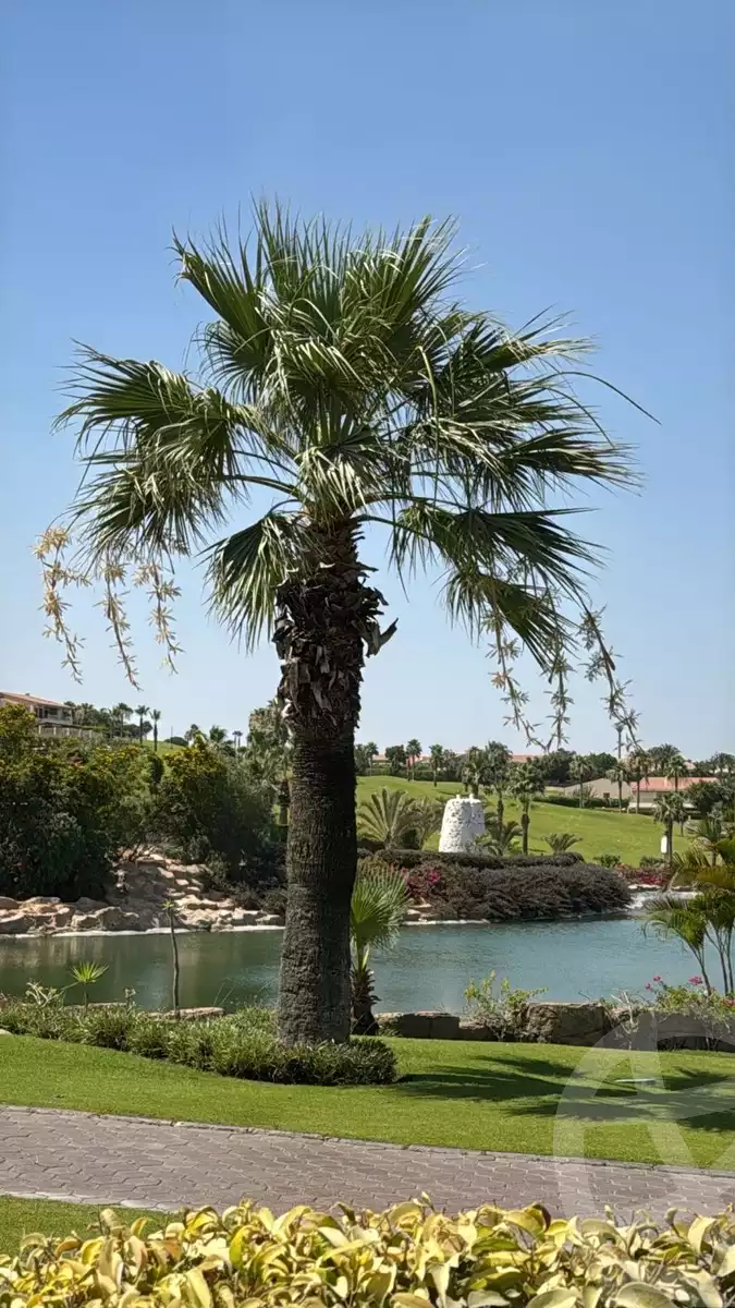 https://aqarmap.com.eg/en/listing/6295964-for-sale-cairo-el-sheikh-zayed-city-compounds-el-rabwa