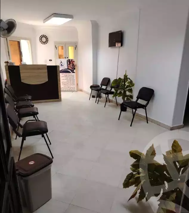 https://aqarmap.com.eg/en/listing/6303699-for-rent-cairo-faisal-tareeq-kaabesh