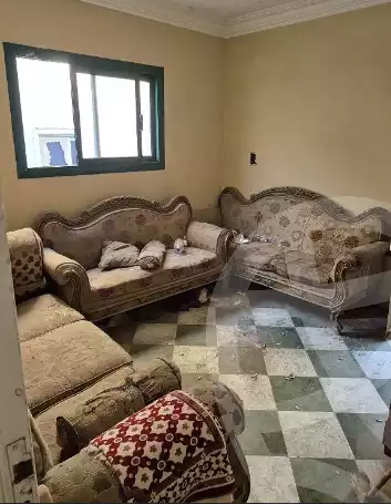 https://aqarmap.com.eg/en/listing/6306735-for-sale-cairo-el-maadi-hadayek-el-maadi-el-horreya-st