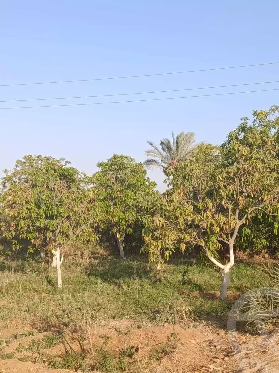 https://aqarmap.com.eg/en/listing/6308192-for-sale-suez-el-ganain