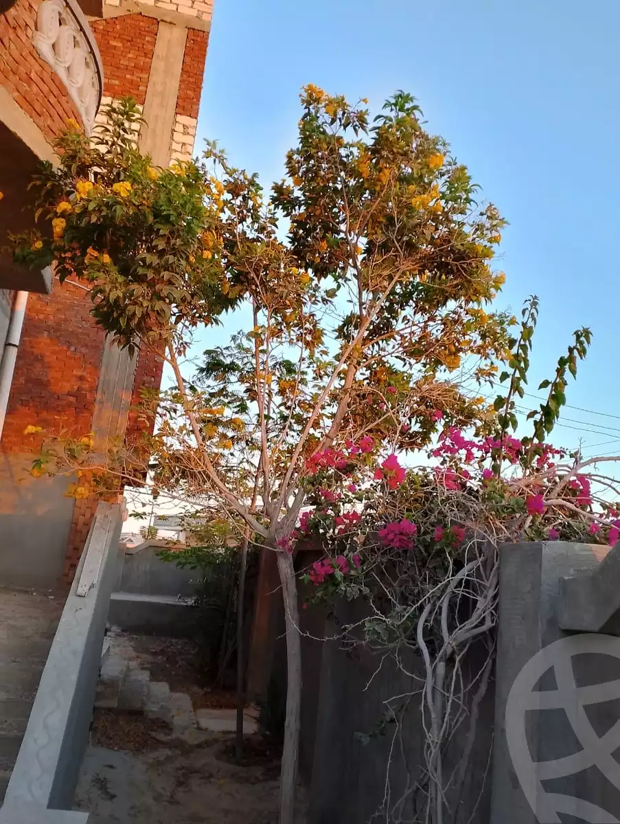 https://aqarmap.com.eg/ar/listing/6309476-for-sale-marsa-matruh-mntq-fr-y-bmrs-mtrwh