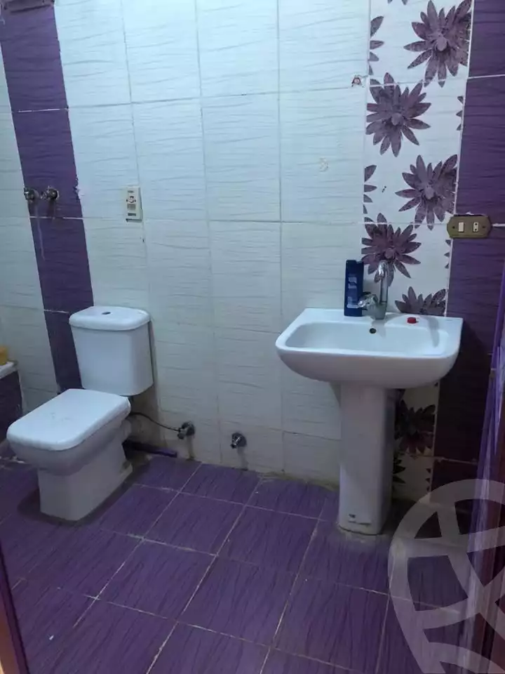 https://aqarmap.com.eg/en/listing/6309744-for-rent-cairo-el-haram-el-talbya-ezz-el-deen-omar-st