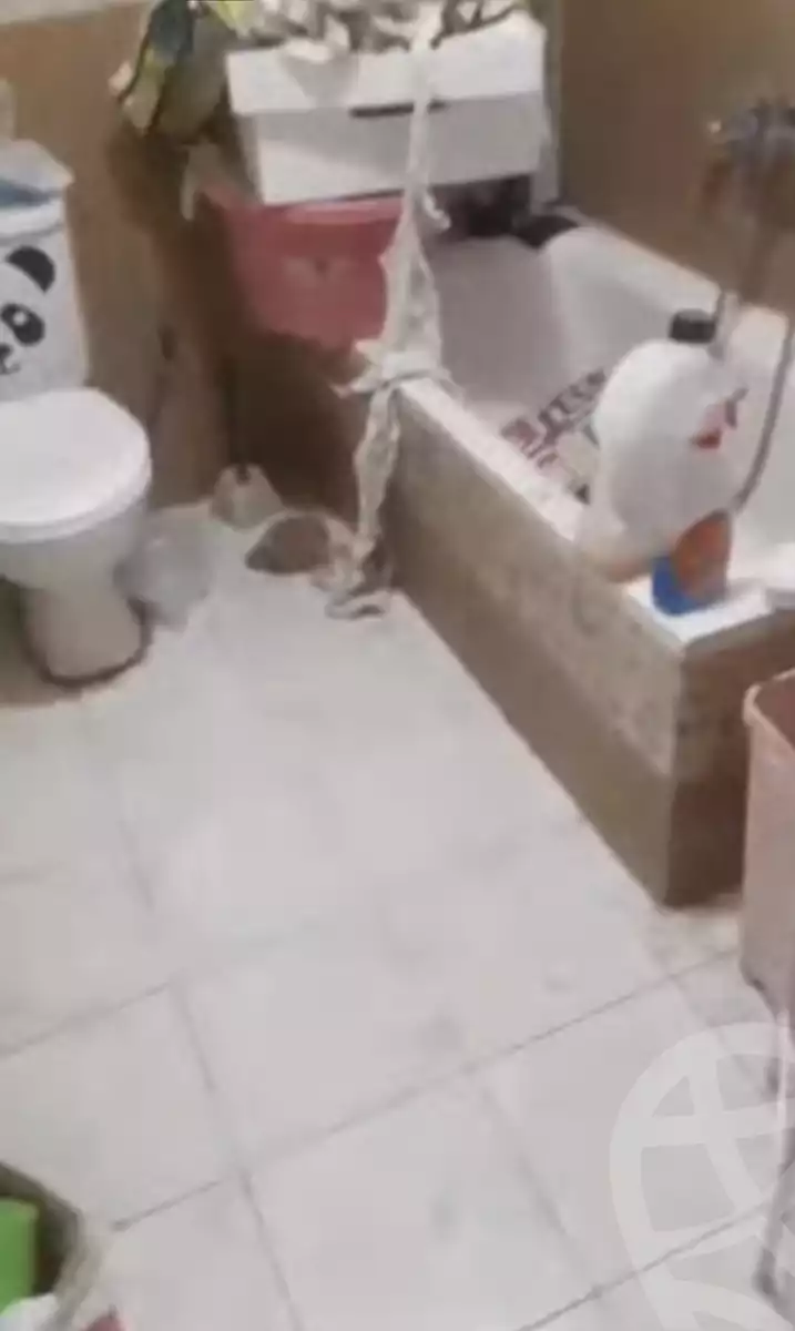 https://aqarmap.com.eg/ar/listing/6315281-for-sale-cairo-shoubra-st-teresa