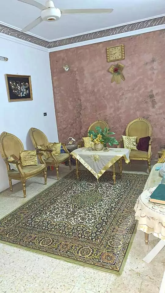 https://aqarmap.com.eg/en/listing/6316833-for-sale-cairo-faisal