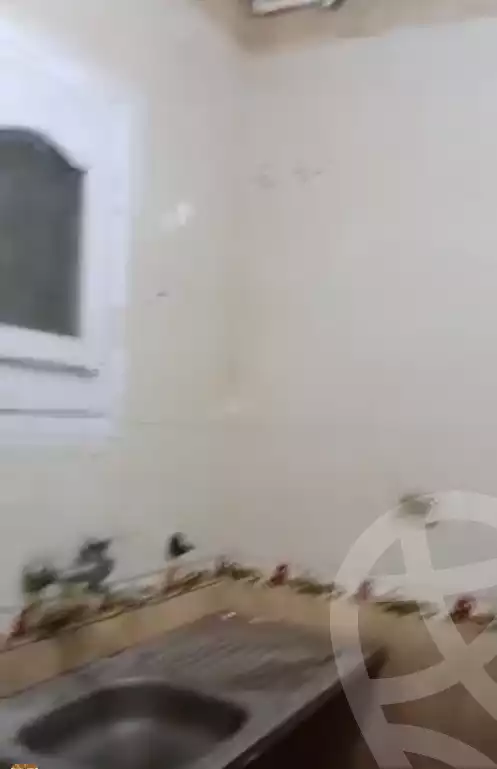https://aqarmap.com.eg/en/listing/6320235-for-rent-qalyubia-shubra-el-khaima