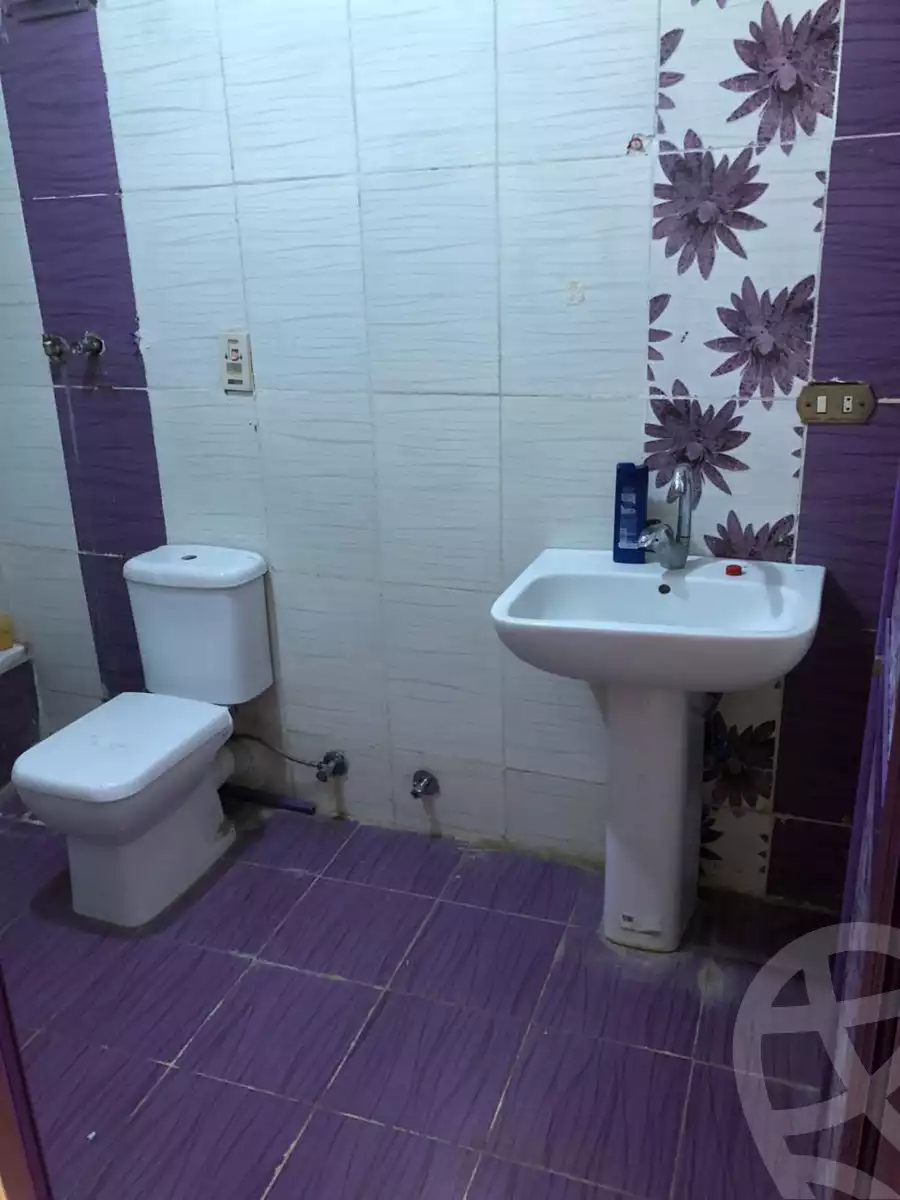 https://aqarmap.com.eg/en/listing/6323565-for-rent-cairo-el-haram-el-talbya-ezz-el-deen-omar-st