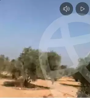 https://aqarmap.com.eg/ar/listing/6327021-for-sale-cairo-ljyz-el-saf-el-shorafa-village
