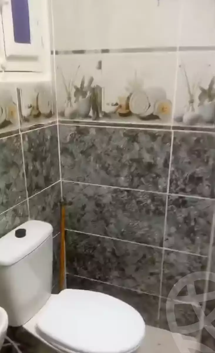 https://aqarmap.com.eg/en/listing/6329048-for-sale-alexandria-l-jmy-lbytsh-el-hanafeya-st