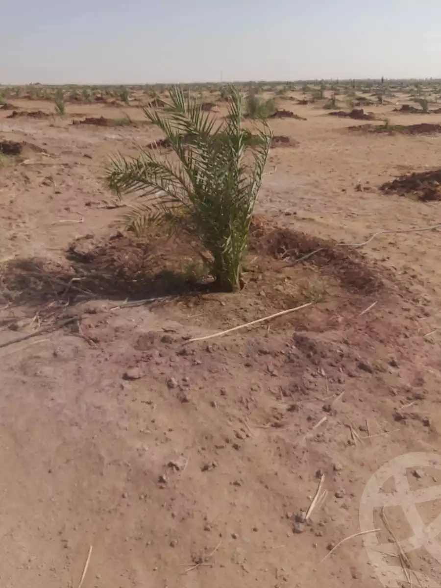 https://aqarmap.com.eg/en/listing/6339643-for-sale-new-valley-kharga-oasis-qret-el-sherka