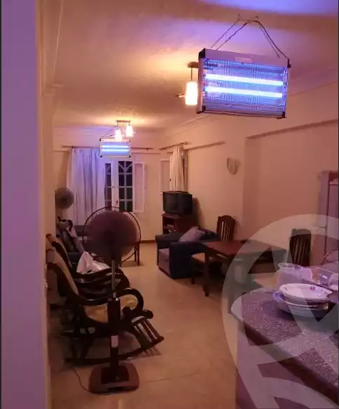https://aqarmap.com.eg/en/listing/6345241-for-sale-alexandria-l-jmy-shataa-el-nakheel-street-5
