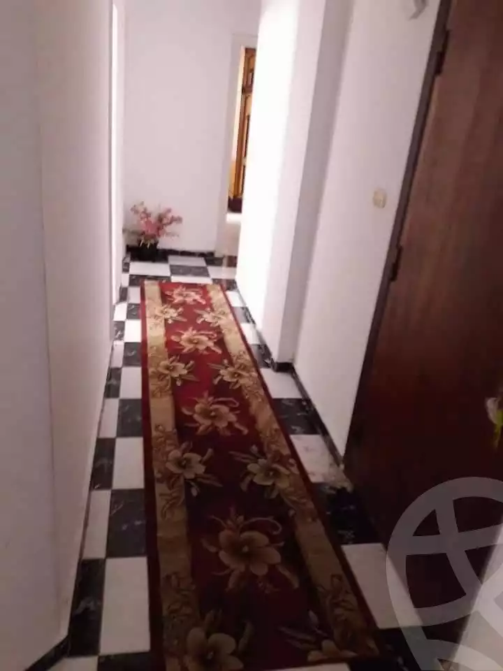 https://aqarmap.com.eg/ar/listing/6347456-for-rent-alexandria-miami-iskandar-ibrahim-st