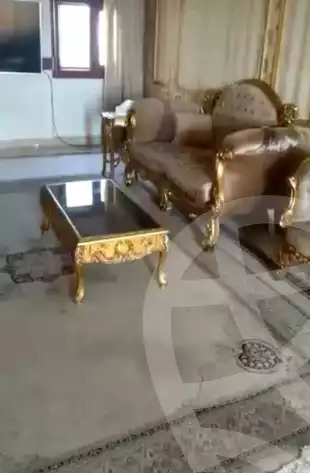 https://aqarmap.com.eg/ar/listing/6352544-for-sale-cairo-dokki-mydn-lmsh-amer-st