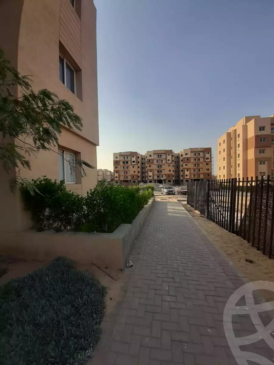 https://aqarmap.com.eg/ar/listing/6353254-for-rent-cairo-6th-of-october-hadaeq-october-kmbwnd-fy-hdyq-ktwbr-shjr-ryzydns-y-jy-y-llttwyr