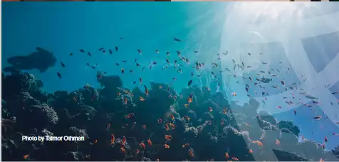 https://aqarmap.com.eg/ar/listing/6354029-for-sale-red-sea-hurghada-resorts-blanca-resort-soma-bay