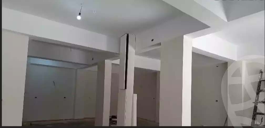 https://aqarmap.com.eg/en/listing/6356944-for-rent-sharqia-zagazig