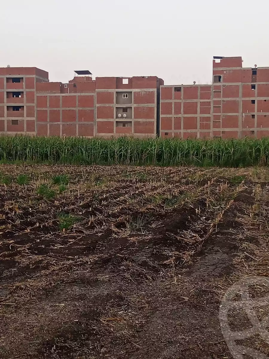 https://aqarmap.com.eg/ar/listing/6357037-for-sale-gharbia-tanta-tanta-city-kafr-essam-rd