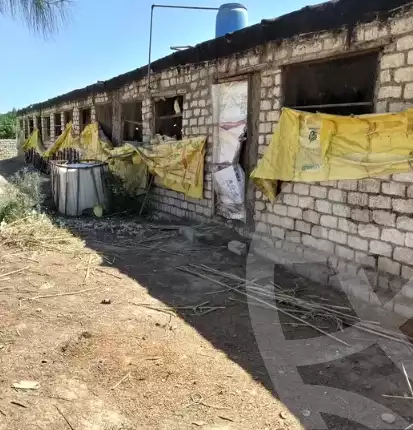 https://aqarmap.com.eg/ar/listing/6364441-for-rent-el-fayoum-tamiya-tamiyyah-city