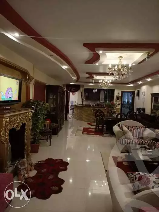 https://aqarmap.com.eg/en/listing/6366059-for-rent-cairo-el-haram-el-lebeny-el-magzar-el-aly-st