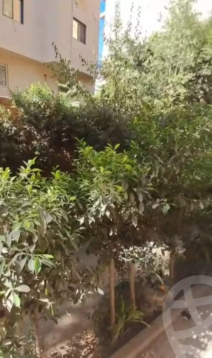 https://aqarmap.com.eg/en/listing/6371125-for-rent-cairo-dokki-manteqt-nadi-el-syd