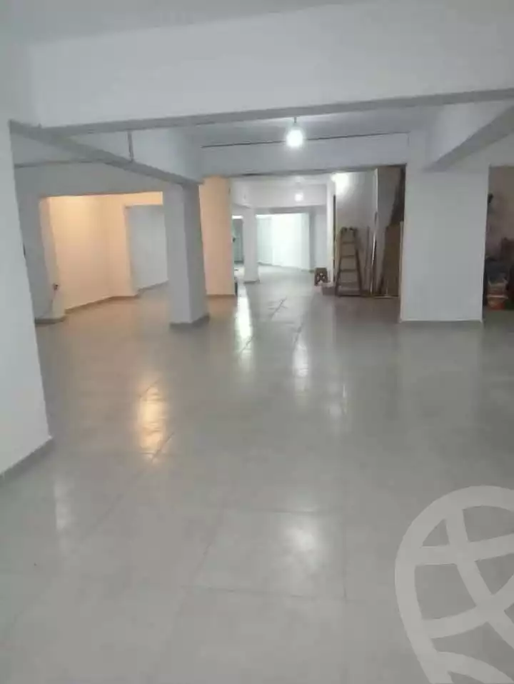 https://aqarmap.com.eg/en/listing/6371620-for-rent-cairo-faisal