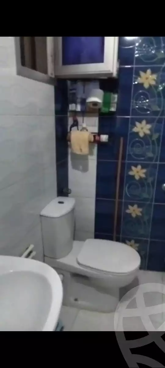 https://aqarmap.com.eg/en/listing/6373904-for-sale-cairo-shoubra