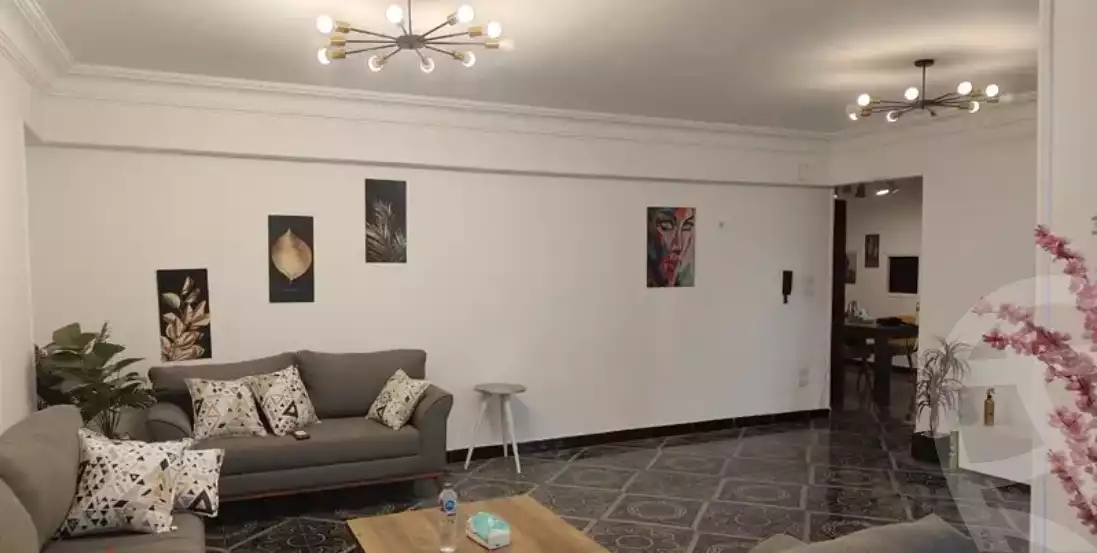 https://aqarmap.com.eg/en/listing/6376807-for-rent-cairo-dokki-mydn-lmsh