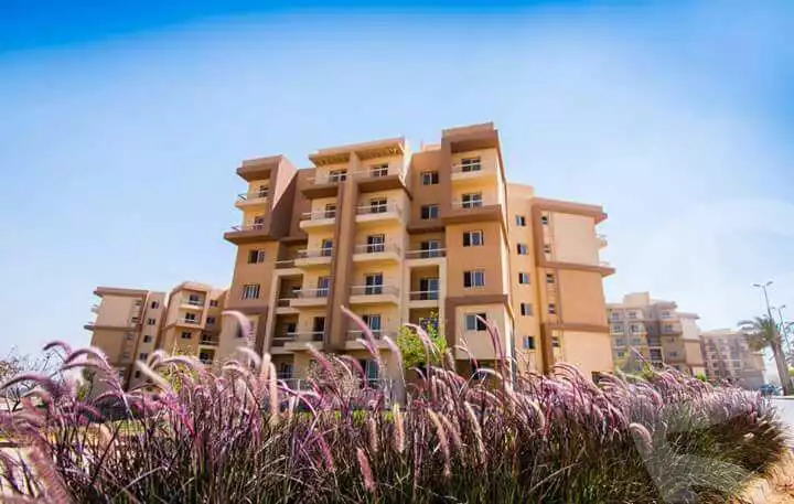 https://aqarmap.com.eg/ar/listing/6382719-for-sale-cairo-6th-of-october-hadaeq-october-kmbwnd-fy-hdyq-ktwbr-shjr-ryzydns-y-jy-y-llttwyr