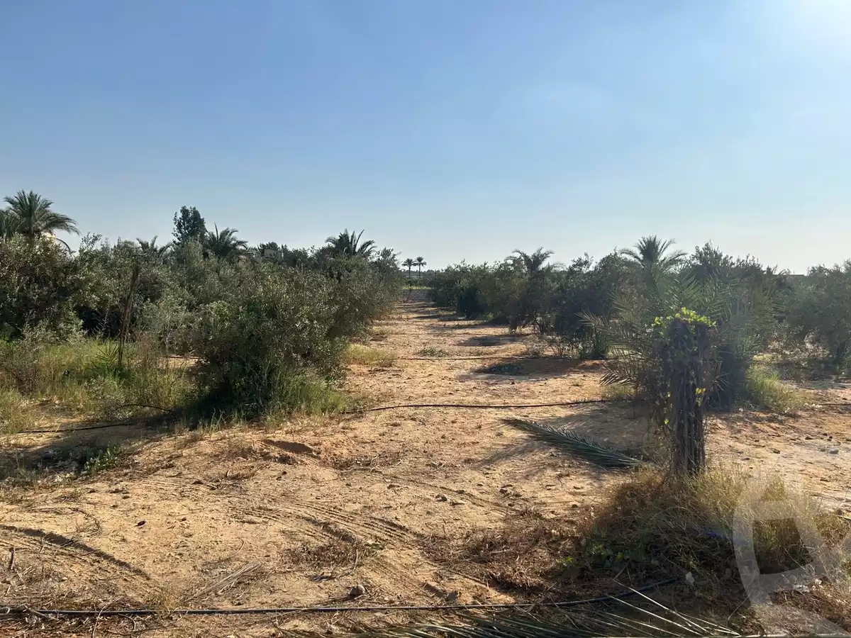 https://aqarmap.com.eg/ar/listing/6383683-for-sale-cairo-el-sheikh-zayed-city-alex-cairo-desert-road-mntq-fr-y-btryq-skndryh-lshrwy