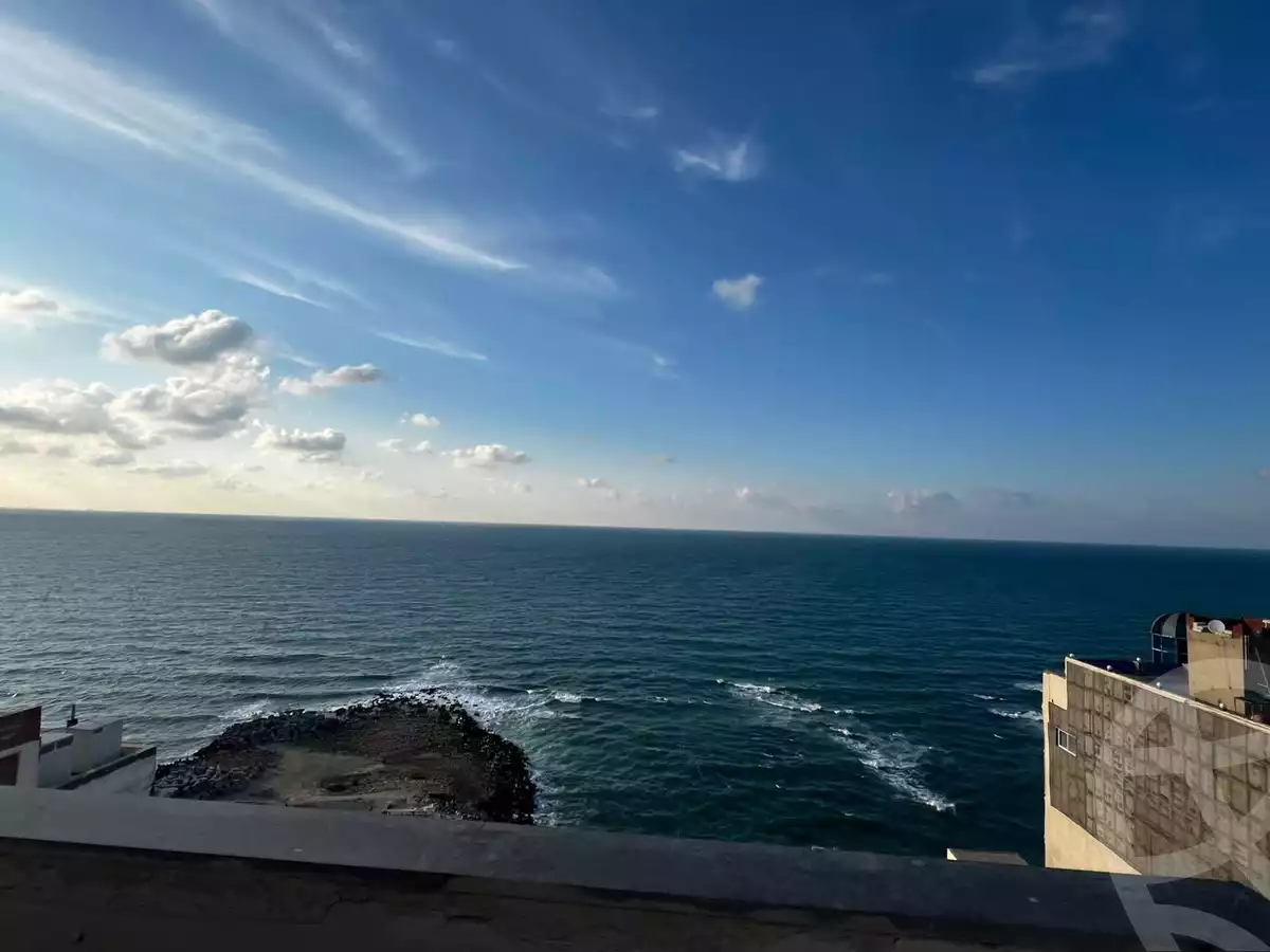 https://aqarmap.com.eg/ar/listing/6384617-for-sale-alexandria-cleopatra-taha-hamdy-st