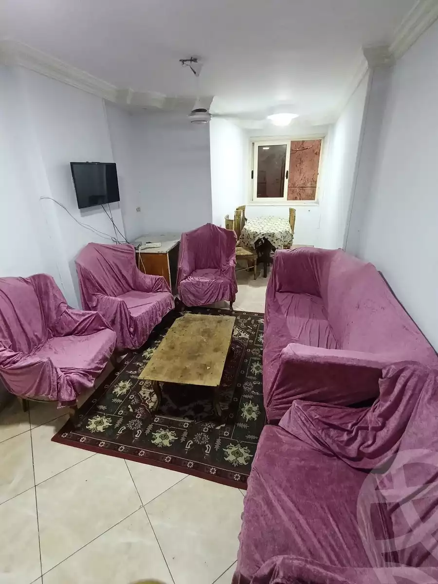 https://aqarmap.com.eg/en/listing/6386680-for-rent-alexandria-miami-khld-bn-lwlyd