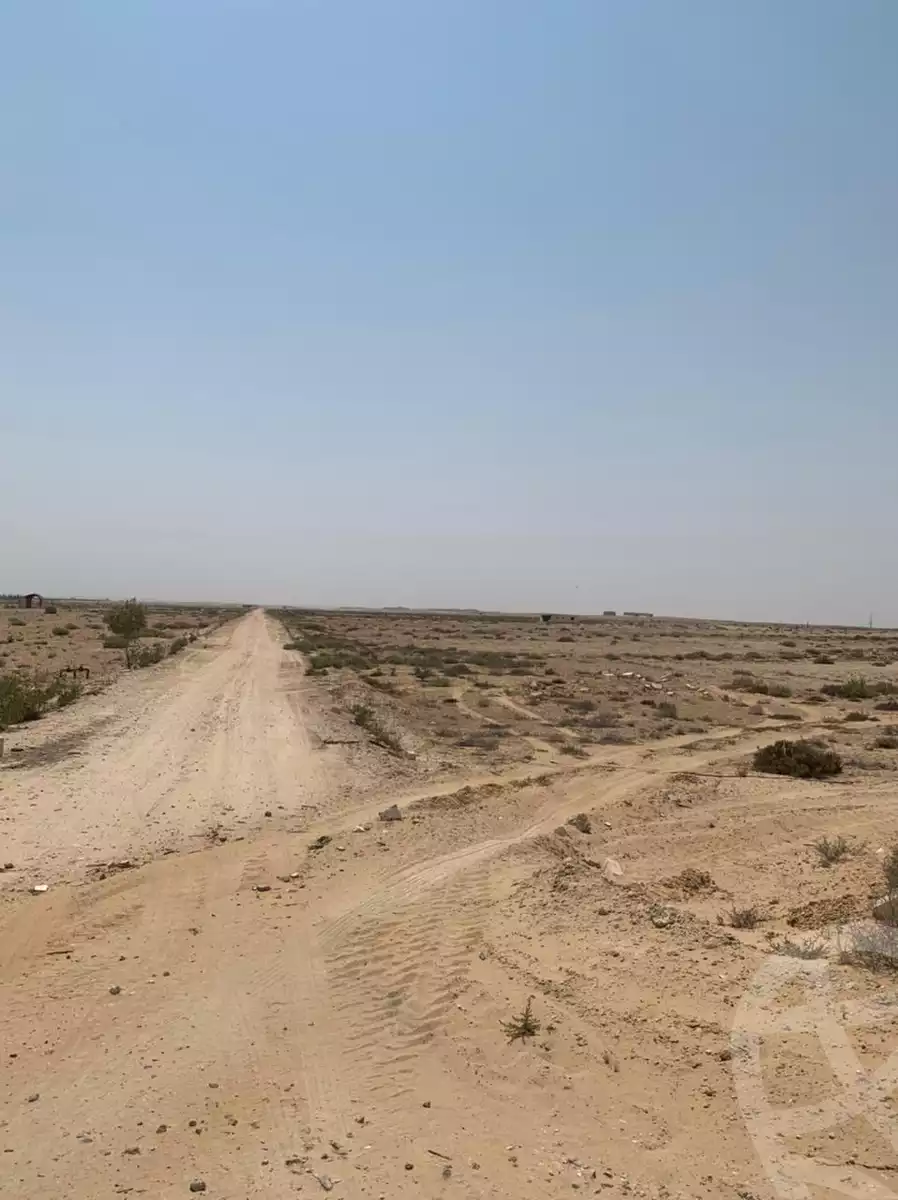 https://aqarmap.com.eg/en/listing/6390029-for-sale-beheira-wadi-el-natrun-bany-salama