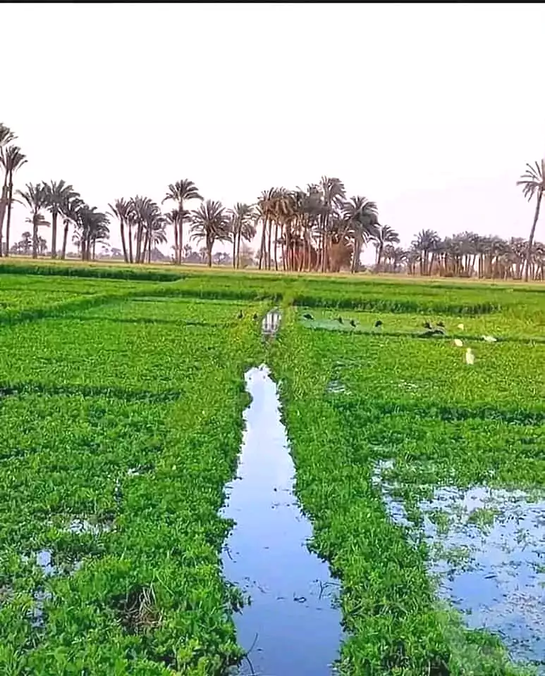 https://aqarmap.com.eg/en/listing/6391427-for-sale-cairo-el-haram